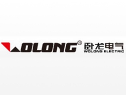 Wolong electric group co., LTD
