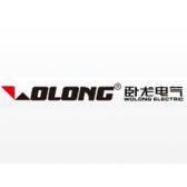 Wolong electric group co., LTD